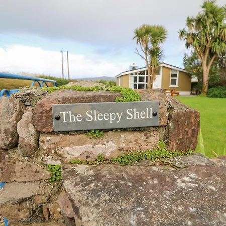 The Sleepy Shell * Ballydavid