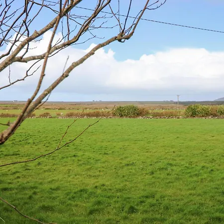 The Sleepy Shell Tatil Evi