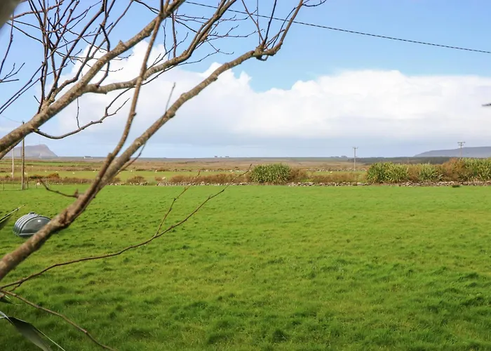 The Sleepy Shell 펜션