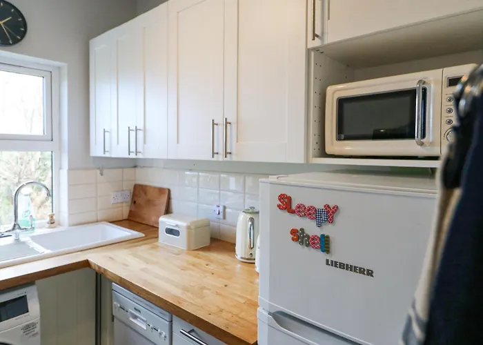 The Sleepy Shell Ballydavid