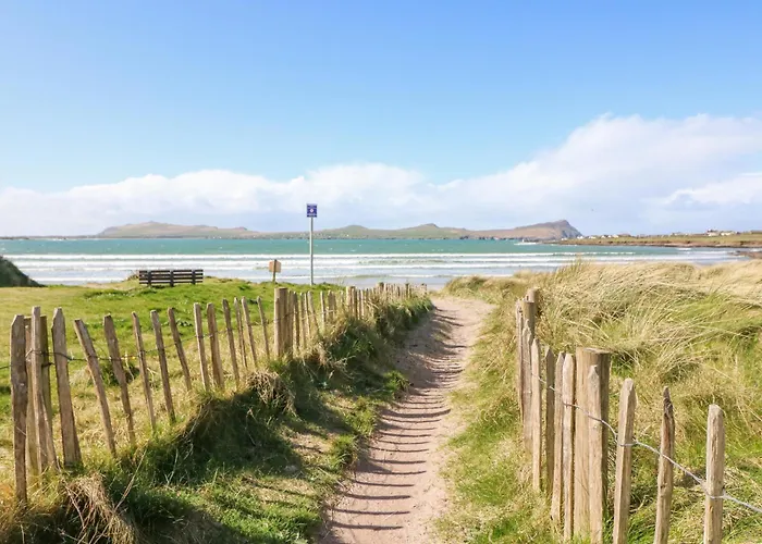 The Sleepy Shell * Ballydavid