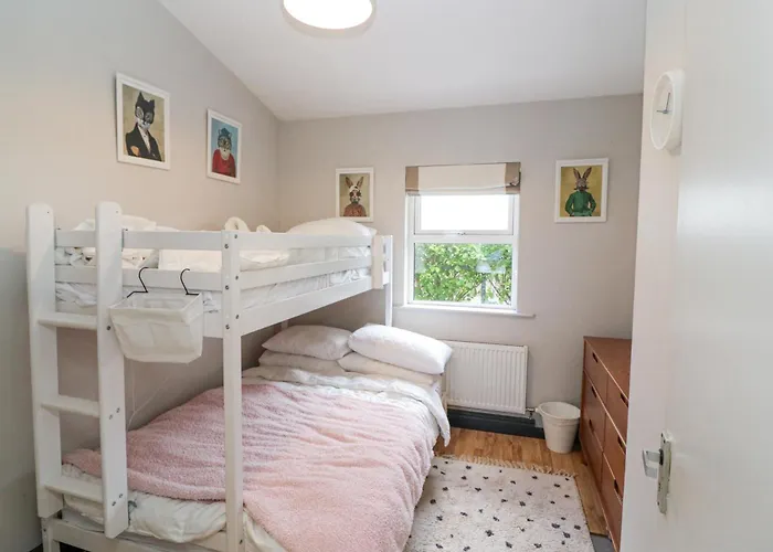 The Sleepy Shell Ballydavid