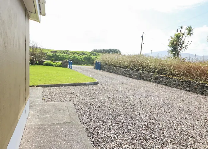 The Sleepy Shell * Ballydavid